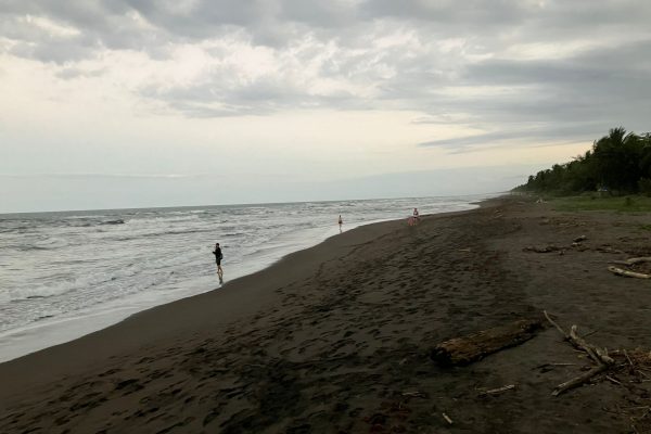 IMG-20240306-WA0006