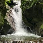 PHOTO-2025-02-01-02-19-31(1)