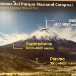 PHOTO-2025-02-08-23-26-53